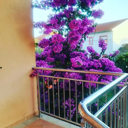 & Flower Maison d'hôtes