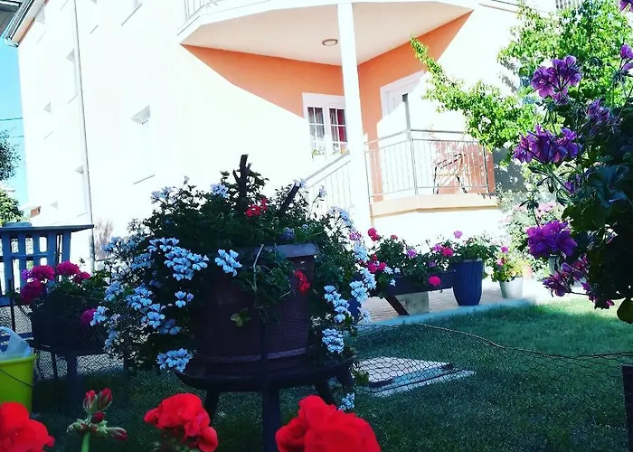 & Flower Gostinjska kuća Bibinje